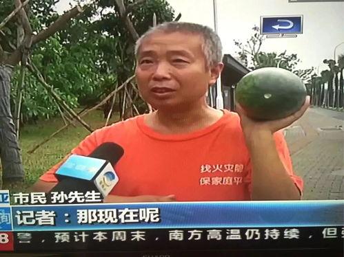 娱乐圈吃瓜群众热点,揭秘明星幕后恩怨情仇  第1张