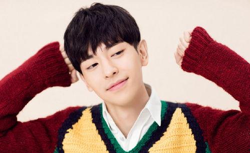 爱豆吃瓜娱乐酱邢昭林,从爱豆到吃瓜娱乐酱的华丽转身  第3张