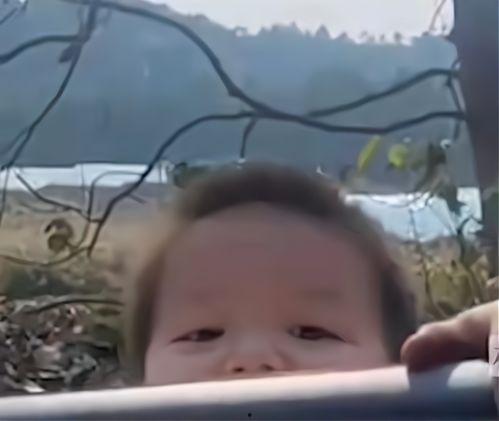 娱乐吃瓜酱喊男生宝宝,揭秘明星间的甜蜜互动  第3张